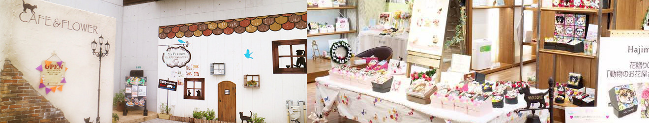 ギャラリー外観